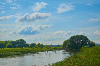 Huzurlu kırsal yaz Avrupa manzarası Yeşil ağaçlar ve va