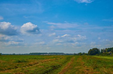 Huzurlu kırsal yaz Avrupa manzarası Yeşil ağaçlar ve va
