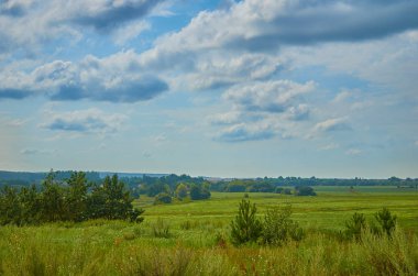 Huzurlu kırsal yaz Avrupa manzarası Yeşil ağaçlar ve va