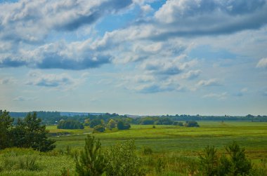 Huzurlu kırsal yaz Avrupa manzarası Yeşil ağaçlar ve va