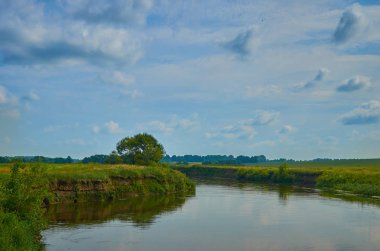 Huzurlu kırsal yaz Avrupa manzarası Yeşil ağaçlar ve va