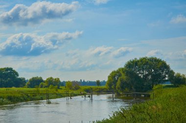 Huzurlu kırsal yaz Avrupa manzarası Yeşil ağaçlar ve va
