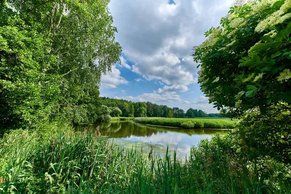 Paisaje europeo de verano rural pacífico con árboles verdes y wa — Foto de Stock
