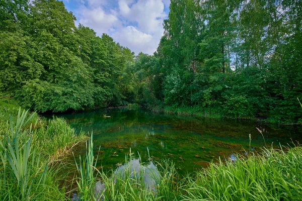Мирный сельский летний европейский пейзаж с зелеными деревьями и ва — стоковое фото