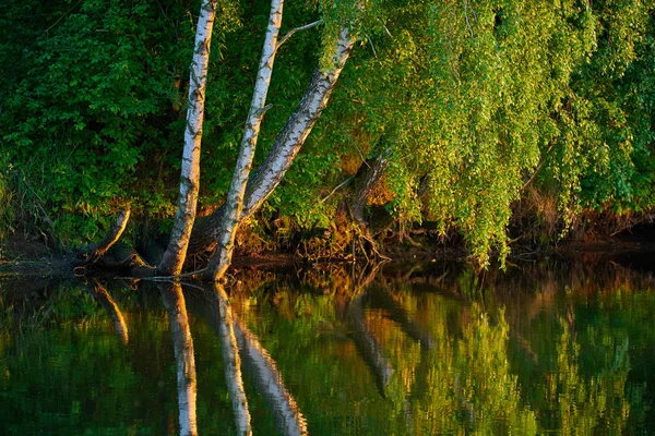 Peaceful rural summer european landscape with green trees and wa — Stock Photo, Image