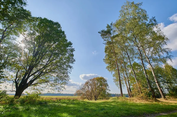 Мирный сельский летний европейский пейзаж с зелеными деревьями и ва — стоковое фото