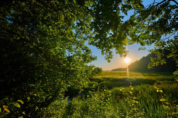 Huzurlu kırsal yaz Avrupa manzarası Yeşil ağaçlar ve va