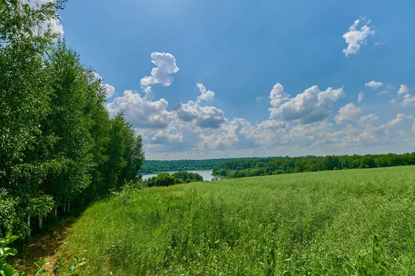 Huzurlu kırsal yaz Avrupa manzarası Yeşil ağaçlar ve va