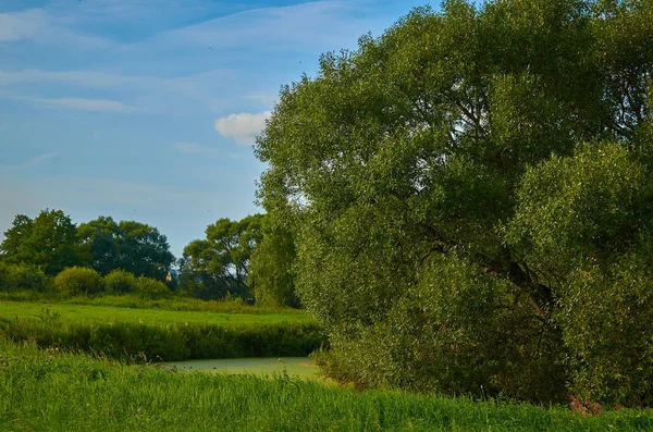 Spokojny wiejski letni pejzaż europejski z zielonymi drzewami i wa — Zdjęcie stockowe