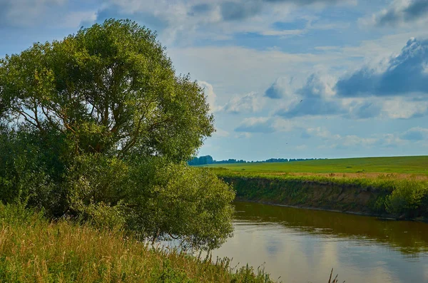 Paysage rural paisible d'été européen avec des arbres verts et wa — Photo