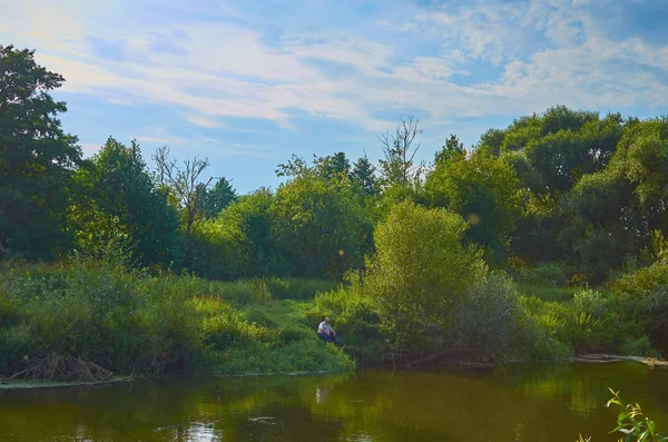 Huzurlu kırsal yaz Avrupa manzarası Yeşil ağaçlar ve va