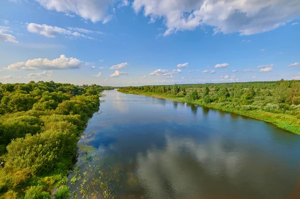 Huzurlu kırsal yaz Avrupa manzarası Yeşil ağaçlar ve va