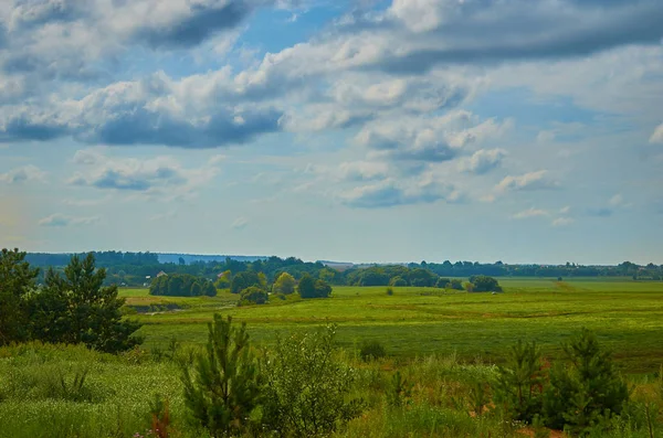 Huzurlu kırsal yaz Avrupa manzarası Yeşil ağaçlar ve va