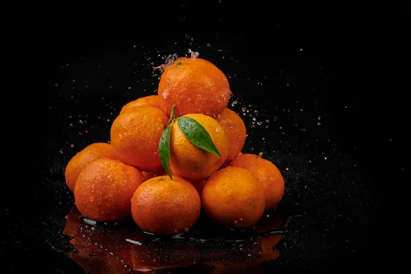 Mandarin mandarin vízcseppekkel fekete alapon. Új — Stock Fotó