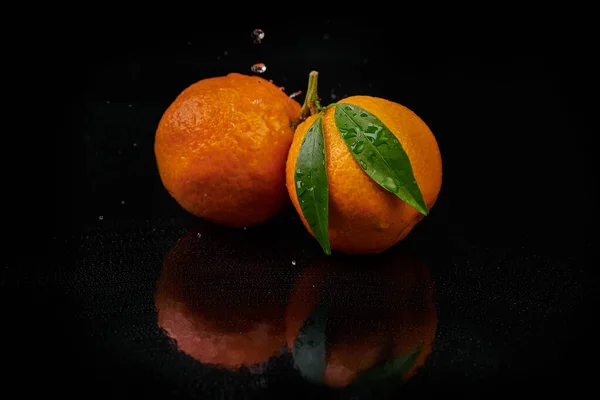 Mandarinen Mandarinen mit Wassertropfen auf schwarzem Hintergrund. neu — Stockfoto