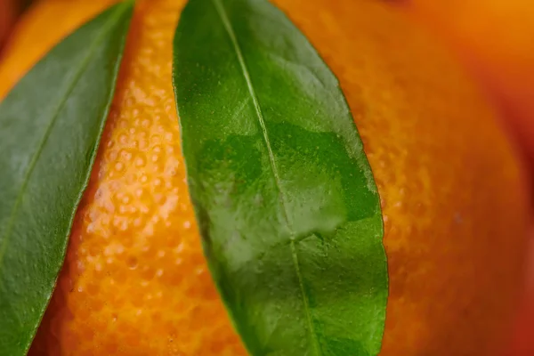 Tangerinas tangerinas com gotas de água sobre fundo preto. Novo — Fotografia de Stock