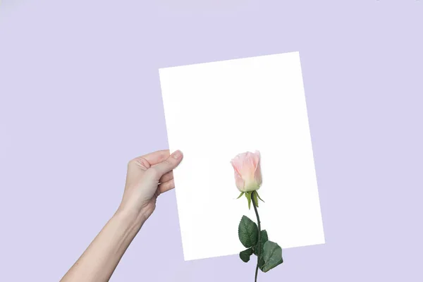 elini ve bir çiçek, bir arka plan üzerinde bir gül içinde bir sayfa