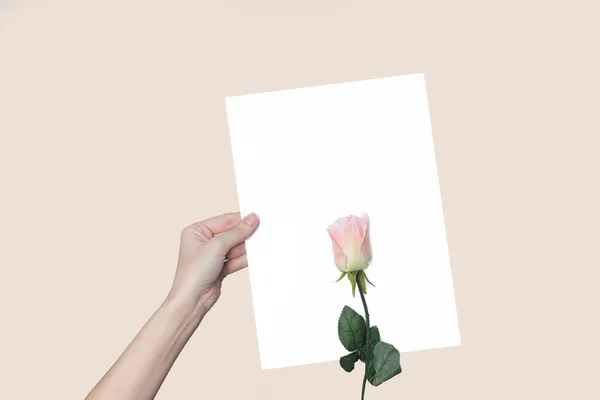 elini ve bir çiçek, bir arka plan üzerinde bir gül içinde bir sayfa