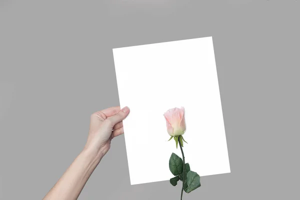 elini ve bir çiçek, bir arka plan üzerinde bir gül içinde bir sayfa