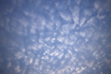 Gökyüzünde bir sürü güzel beyaz pullu bulut var..