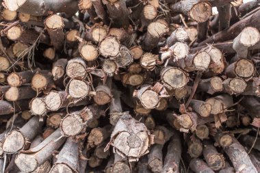 Odun dokusu arkaplanı deseni