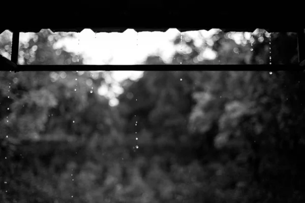 Krople deszczu z dachu — Zdjęcie stockowe