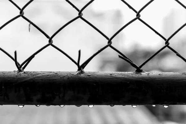 Kapky vody na staré ocelové mříže — Stock fotografie