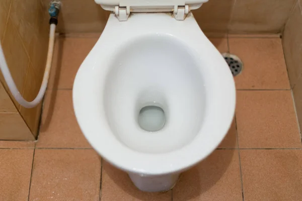 Fehér WC csésze — Stock Fotó