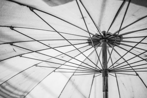 Black and white Under the umbrella texture background — Stock Photo, Image