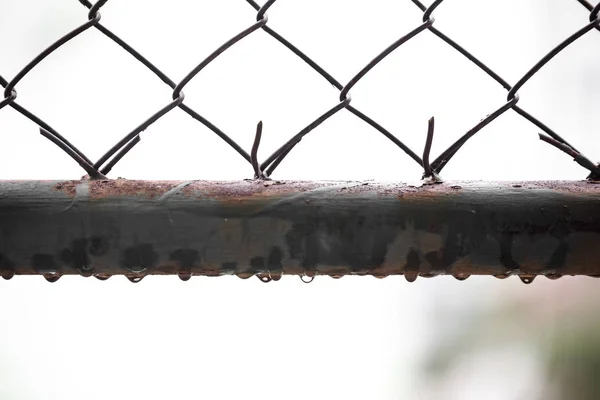 Water droplets on old steel grilles with warm light — 스톡 사진