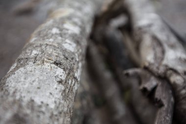 Odun yığınının kuru çimenler üzerindeki seçici odağı 