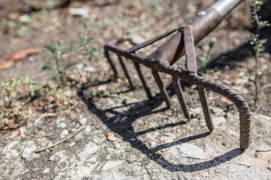 Tırmık paslanmış, yerde kuru dallar var.