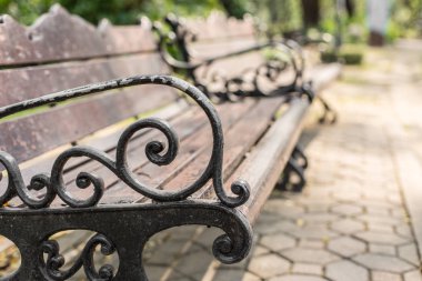 Selective focus of Bench in shady and beautiful park with sunlig