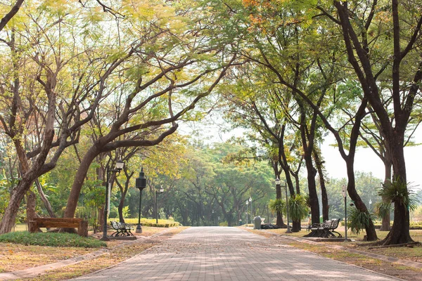 Straße im schönen Park Hintergrund mit Sonnenlicht — Stockfoto