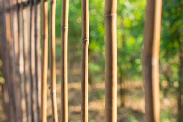 Enfoque Selectivo Valla Bambú Sobre Fondo Borroso Natural — Foto de Stock