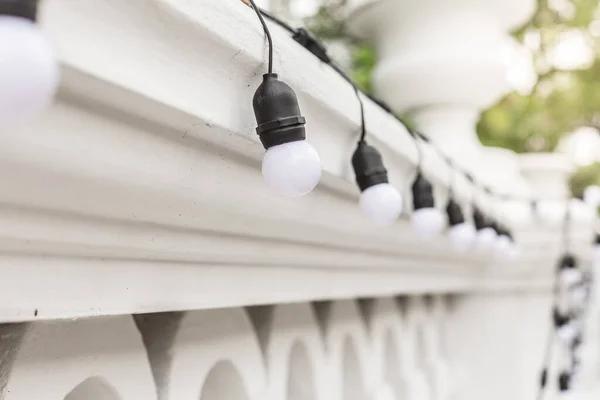 Duvardaki dekoratif lambaların seçici odak noktası güneş ışığıyla çevrili.