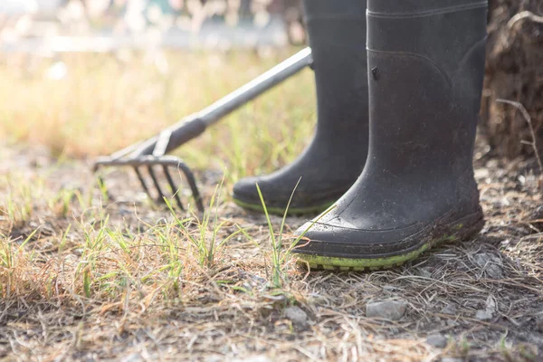 Farmer boots and rakes on the grass with sunlight — Stock Image Farmer Boots Rakes Grass Sunlight Royalty Free Stock Photos