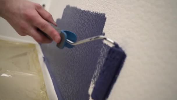 Man hand paint white wall with blue paint. — Stock Footage Man hand paint white wall with blue paint. Stock Video