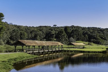 Güneşli bir sabahta parkta iki üstü kapalı köprü.