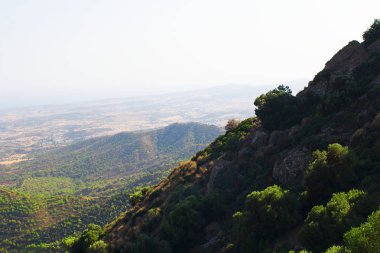 Dağ vadisi yamacındaki çam ağacı manzarası, Trodos dağları, Kıbrıs. Deniz çok uzaklardan görünüyor, yatay. Greativa arkaplanı.