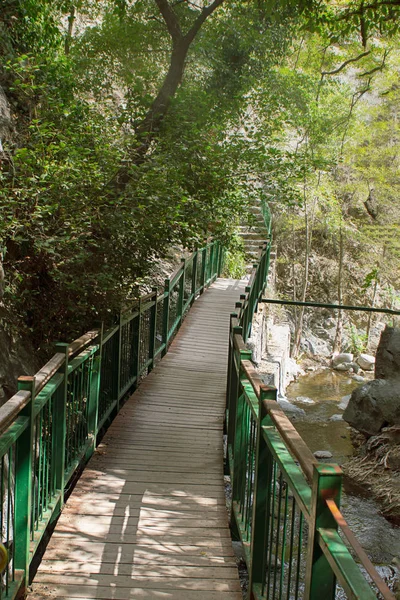 Small bridge next to milomeris waterfall, Cyprus, surrounded by trees, with sun light come throug. Vertical with copy space