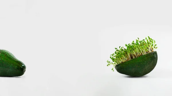 Avokado kabuğunda taze yeşil su teresi ve beyaz boş arkaplanın diğer tarafında avokado, fotokopi uzayı ile izole edilmiş, yatay pankart. Bahar konsepti tasarımı