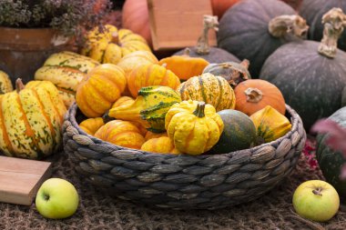 Cadılar Bayramı sonbahar dekoratif arka plan yıldızı doğal sepetin içinde renkli kabak kabakları ve yaşlandırılmış halat fon. Bahçe ve hasat hakkında duvar kağıdı, sağlıklı ürün, yatay