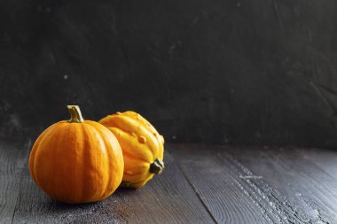 Siyah ahşap masada iki küçük parlak turuncu dekoratif balkabağı. Bahçe işleri ve hasat hakkında duvar kağıtları, sağlıklı ürünler, fotokopi alanı olan yatay ürünler. - Yakın çekim. Cadılar Bayramı parlak arka planı.