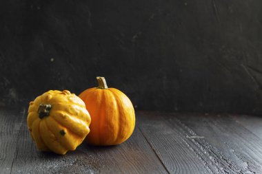 Siyah ahşap masada iki küçük parlak turuncu dekoratif balkabağı. Bahçe işleri ve hasat hakkında duvar kağıtları, sağlıklı ürünler, fotokopi alanı olan yatay ürünler. - Yakın çekim. Cadılar Bayramı parlak arka planı.