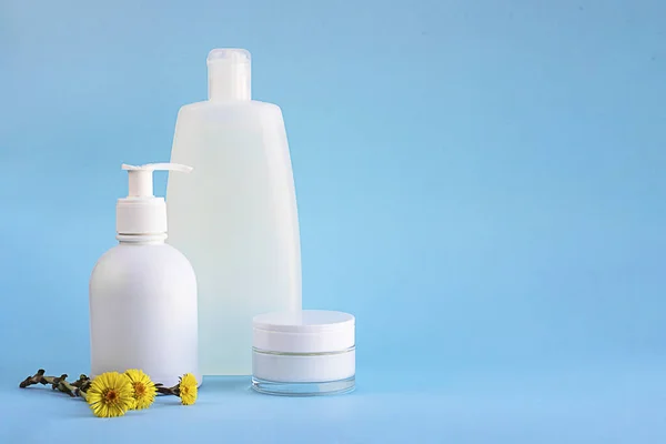 Şampuan ya da duş jeli için beyaz plastik maket şişeleri, krema için cam kaplar, şifalı bitki tay ayağı çiçekleri ya da açık mavi arka planda açık mavi kopya alanı olan Tussilago farfara