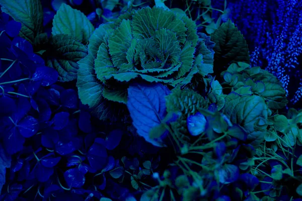 Autumn composition bouquet with plants. Closeup. Harvest, fall, colour, Green and violet. Garden design, Horizontal. Classic, blue monochrome, trend 2020