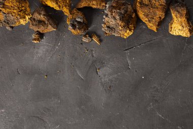 Vahşi Chaga Mantarı, huş ağacının kabuğunda, inonotus obquus 'ta, koyu dokulu arka planda yaşar. Üst Manzara. Çay, organik sağlıklı içecek, doğal ilaç ve antioksidan yapımında kullanılıyor. Uzayı kopyala Yiyecek.