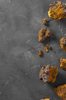 Vahşi Chaga Mantarı, huş ağacının kabuğunda, inonotus obquus 'ta, koyu dokulu arka planda yaşar. Üst Manzara. Çay, organik sağlıklı içecek, doğal ilaç ve antioksidan yapımında kullanılıyor. Uzayı kopyala Yiyecek.