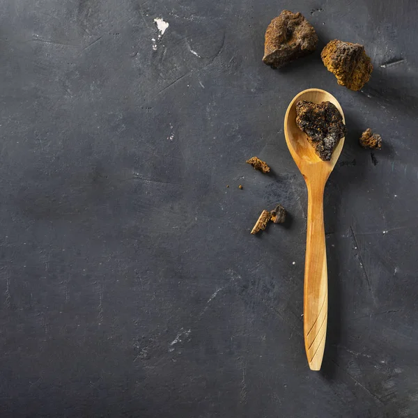 Wild Chaga Mushroom vive di corteccia di betulla, pezzi di inonotus obliquus in cucchiaio di legno su sfondo scuro Ingrediente per fare il tè, bevanda calda sana biologica, rimedio naturale, antiossidante. Ricevuto. Alimenti Fotografia Stock